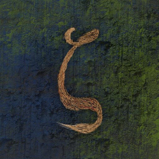 Philozoofur's Corner