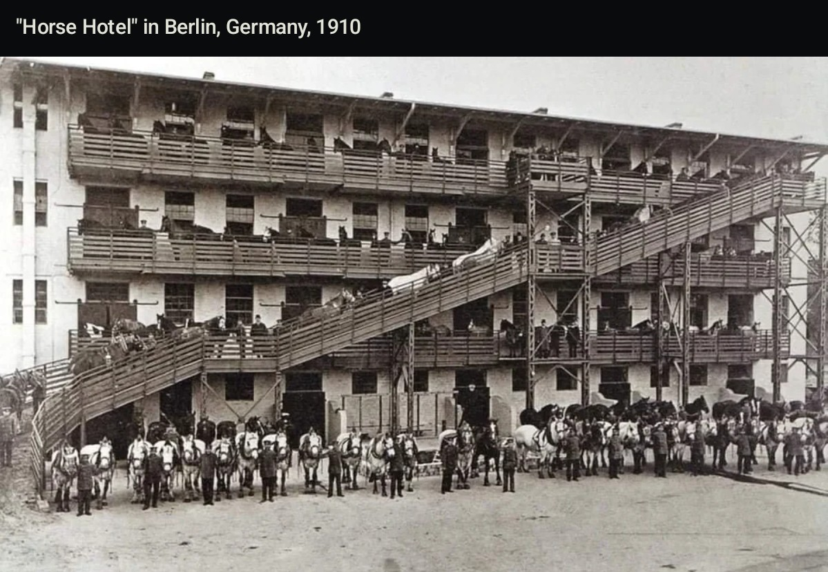 Horse Hotel